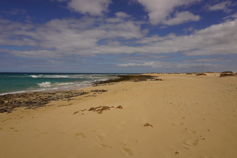Playa dunas de corralejo